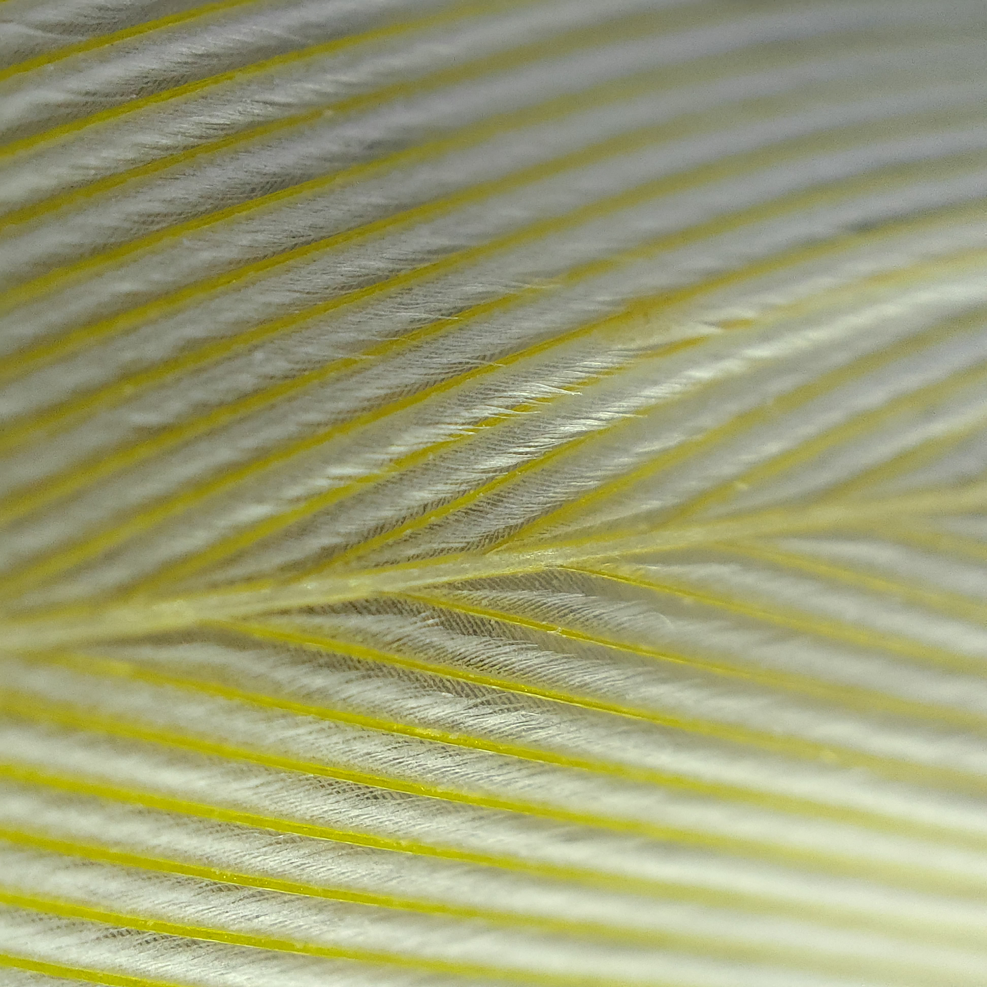 funzione microscopio Find X3 Pro