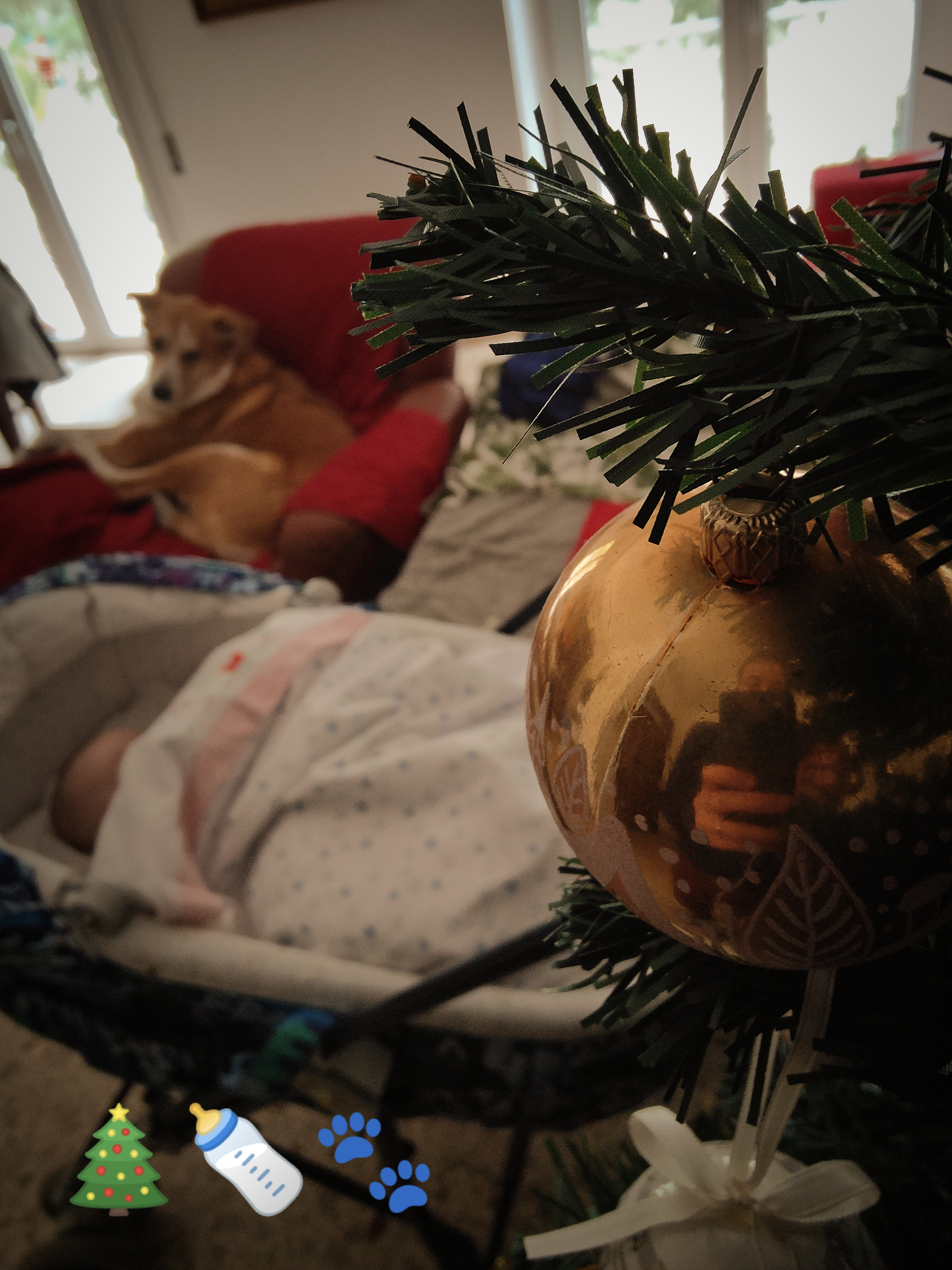 Il nostro primo Natale insieme!