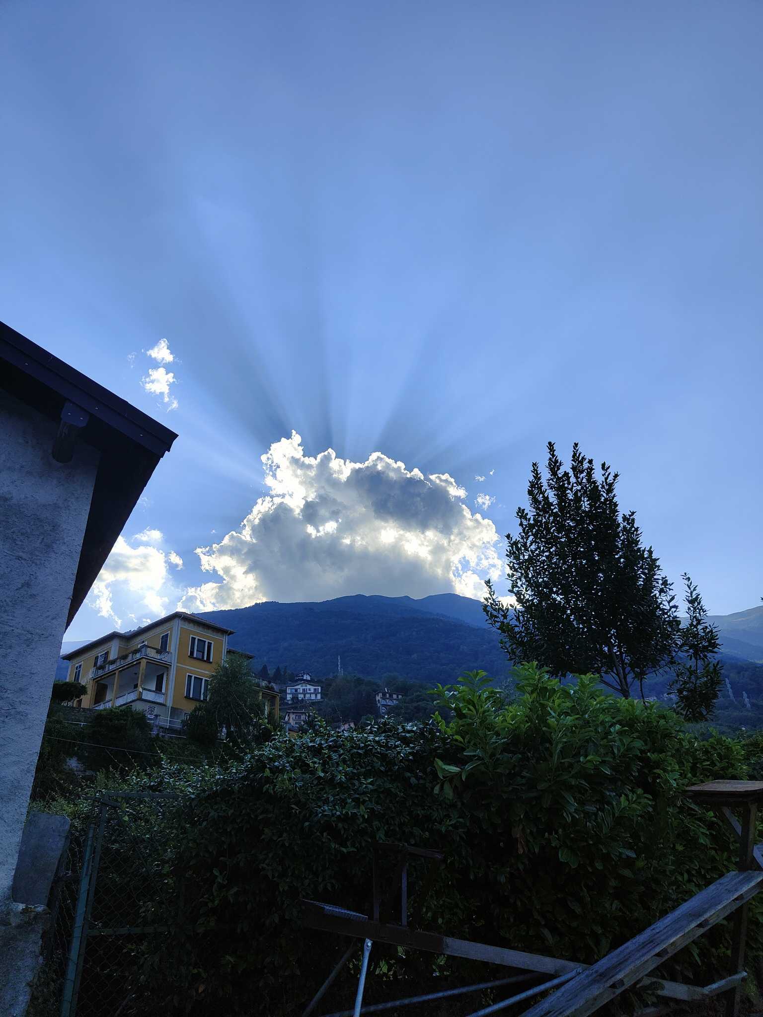 guardate la qualità di questa foto