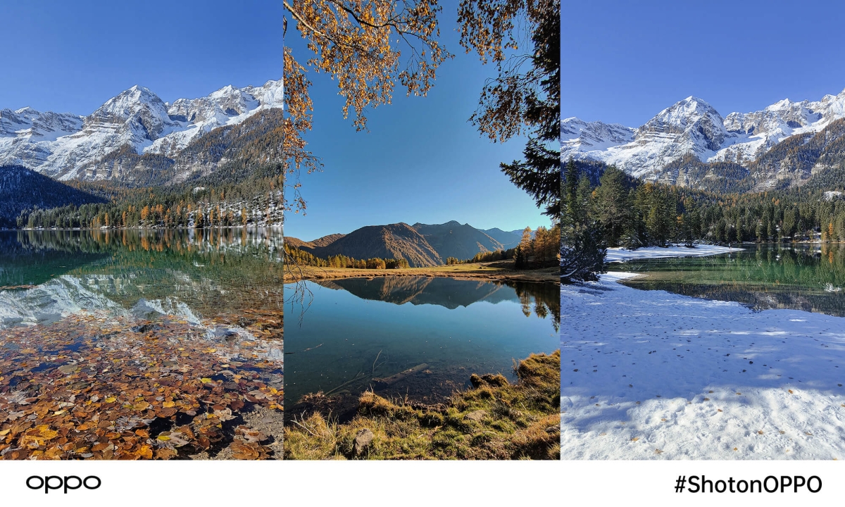 Sapevi che oggi è la Giornata Internazionale della Montagna?