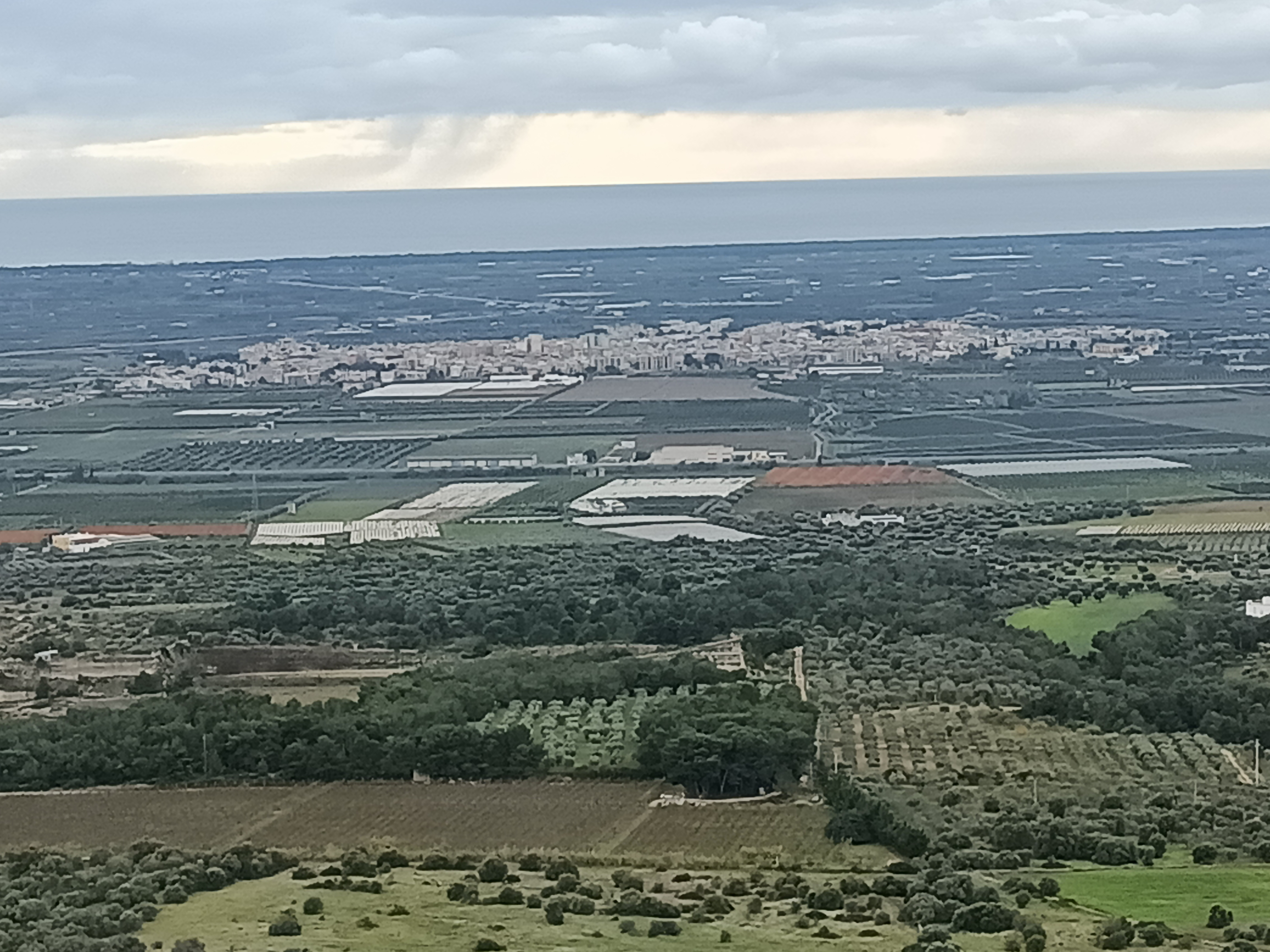 Oppo Reno 6 5g