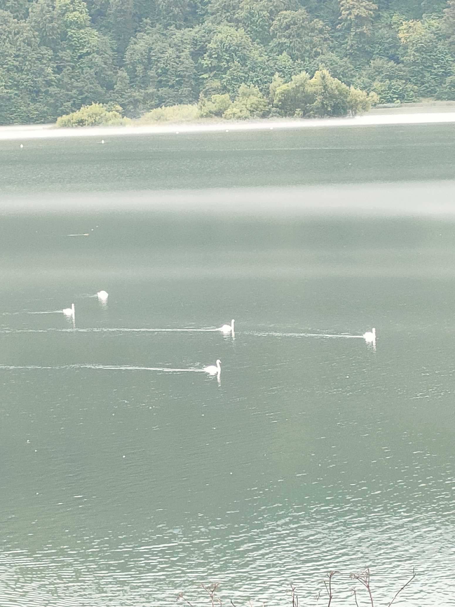 Lago Pangarati in Romania