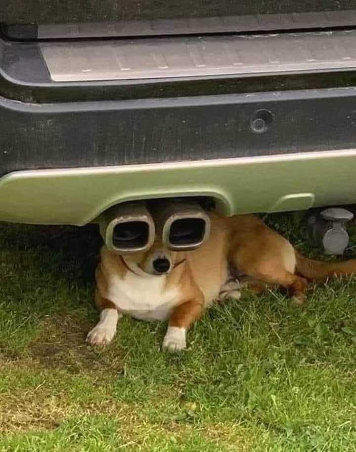 .