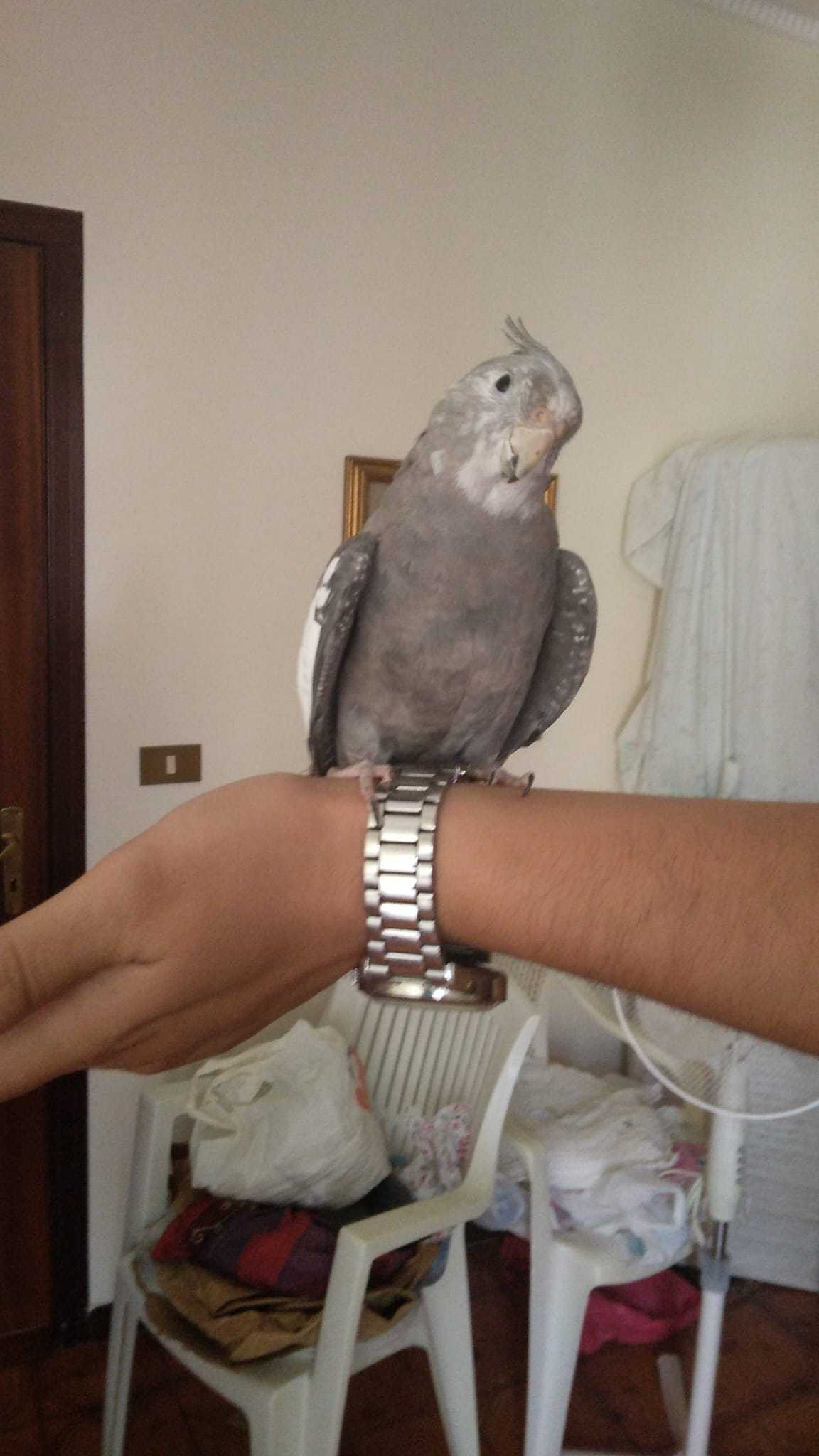 .
