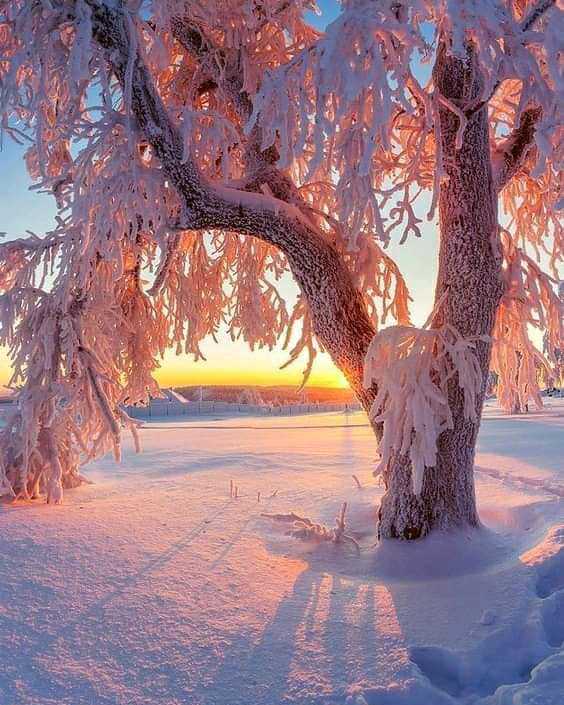 December time
