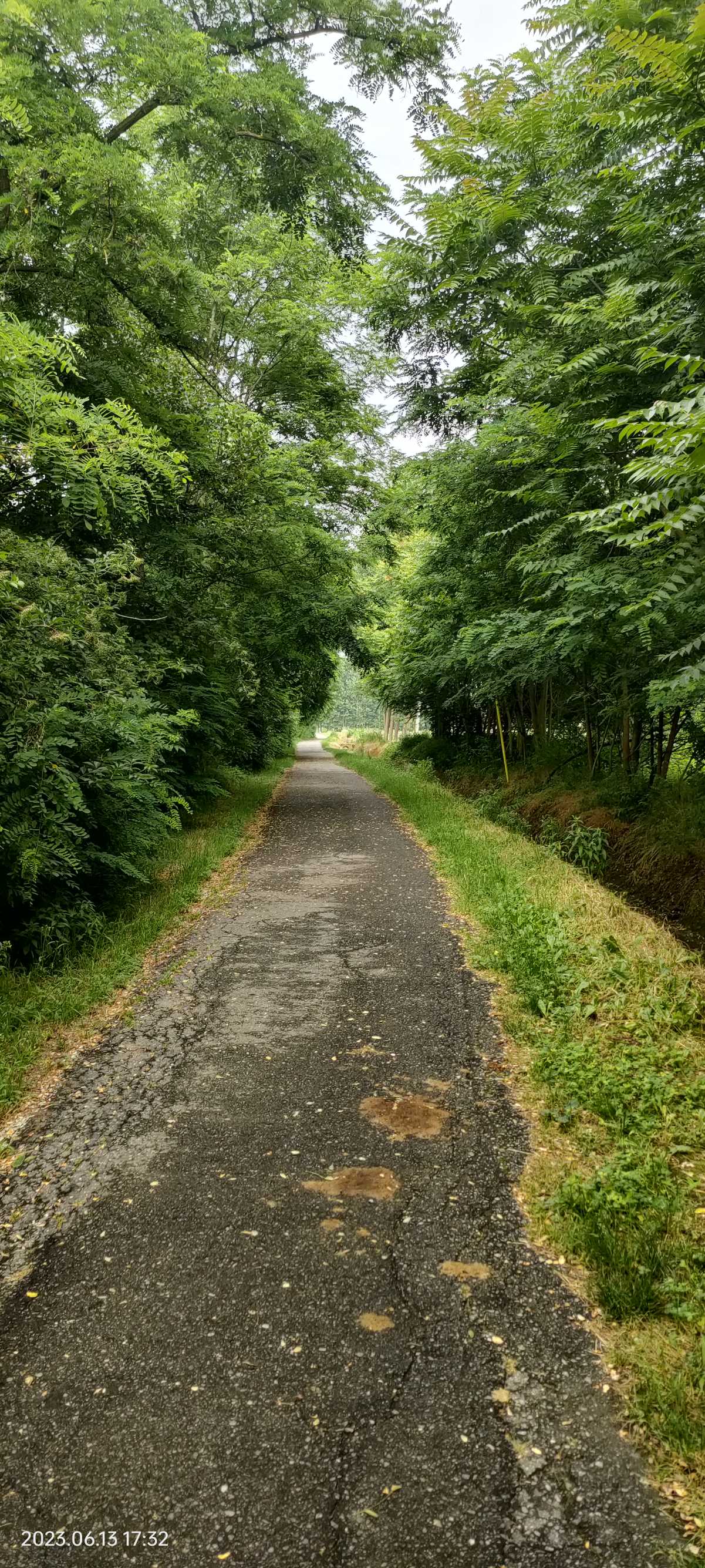 .