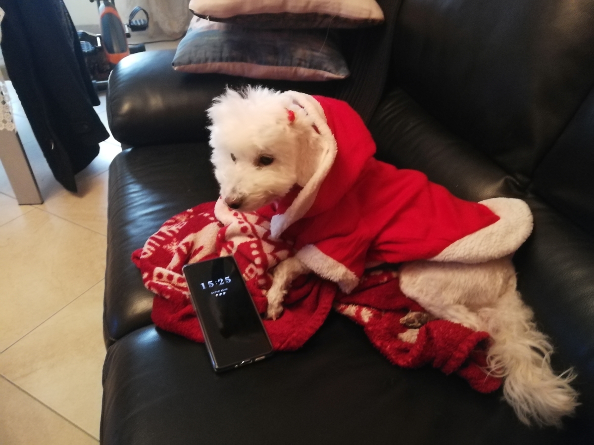 Natale tranquillo