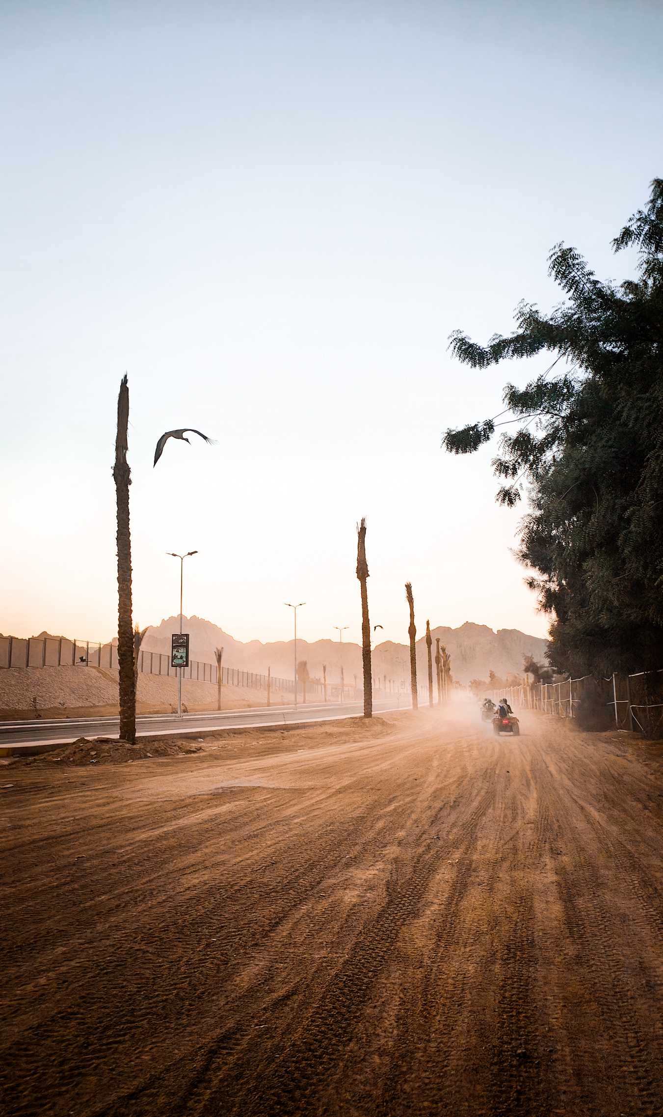 Momento perfetto Oppo Community Italia