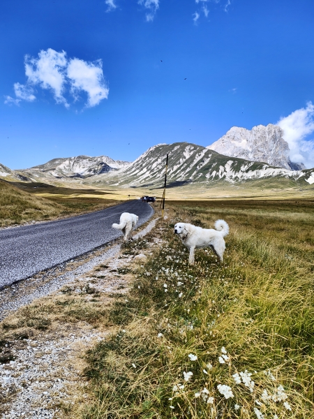 Campo Imperatore Abruzzo con Find X 5 Pro