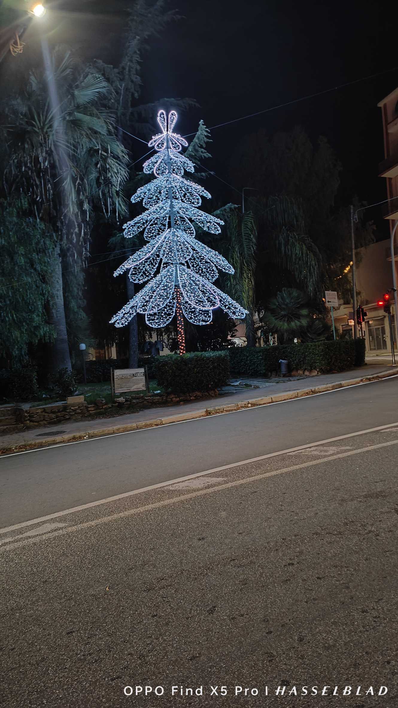 BUONE FESTE
