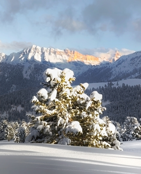 Dolomites Winter