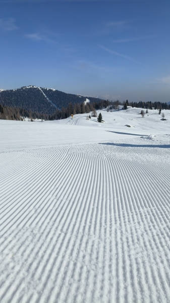 8.30 ski
