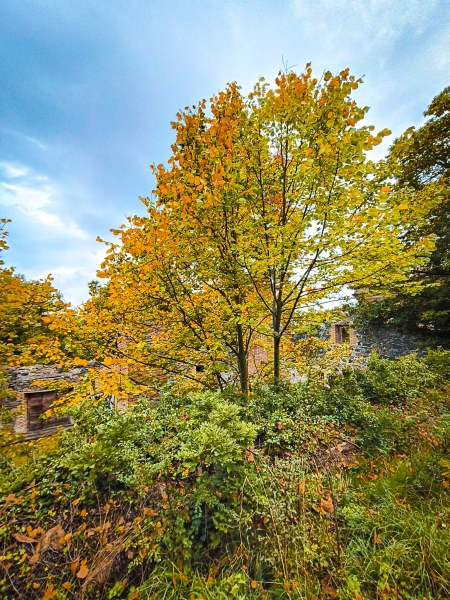 I colori dell'autunno