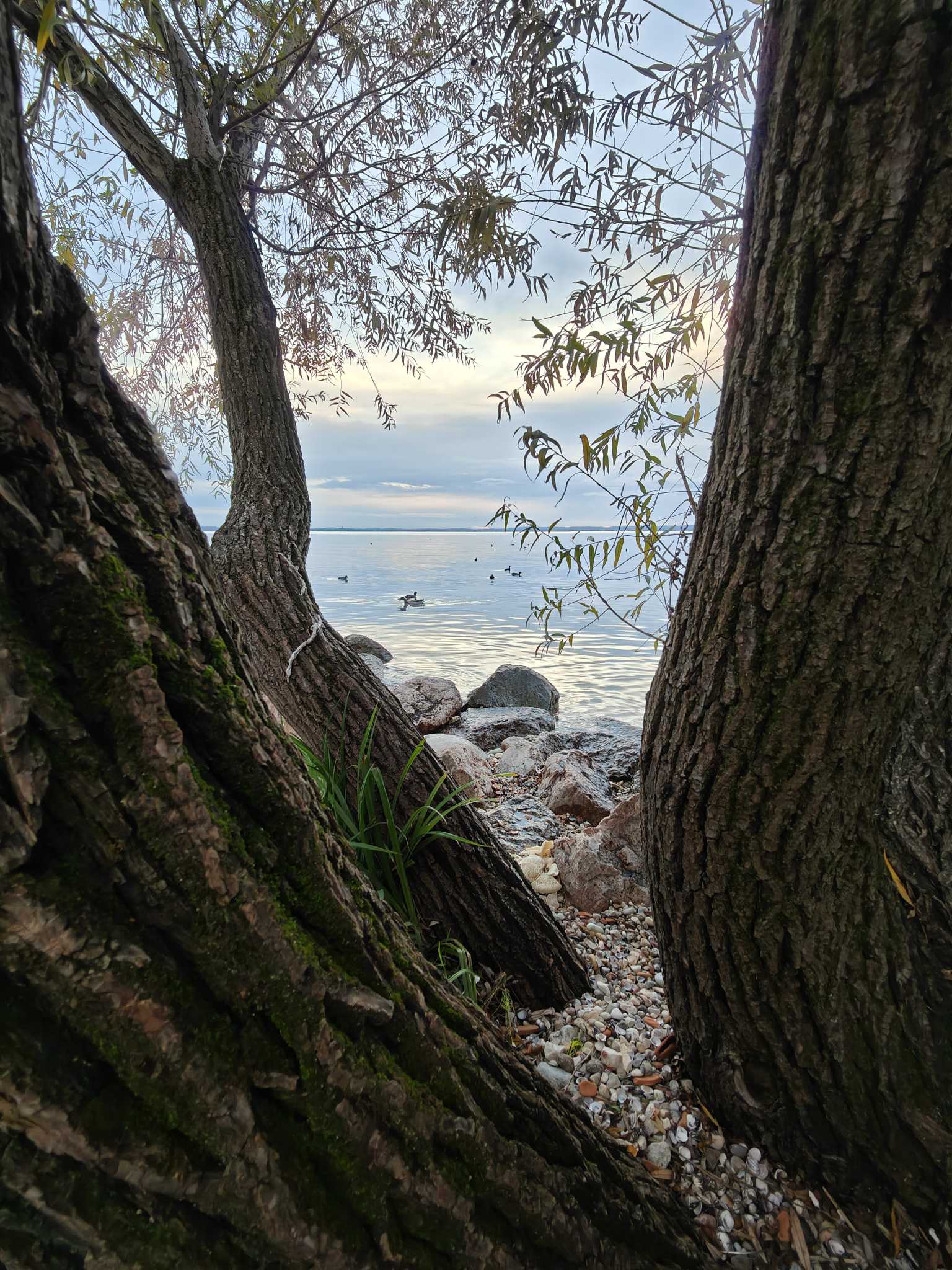 Lago di Garda