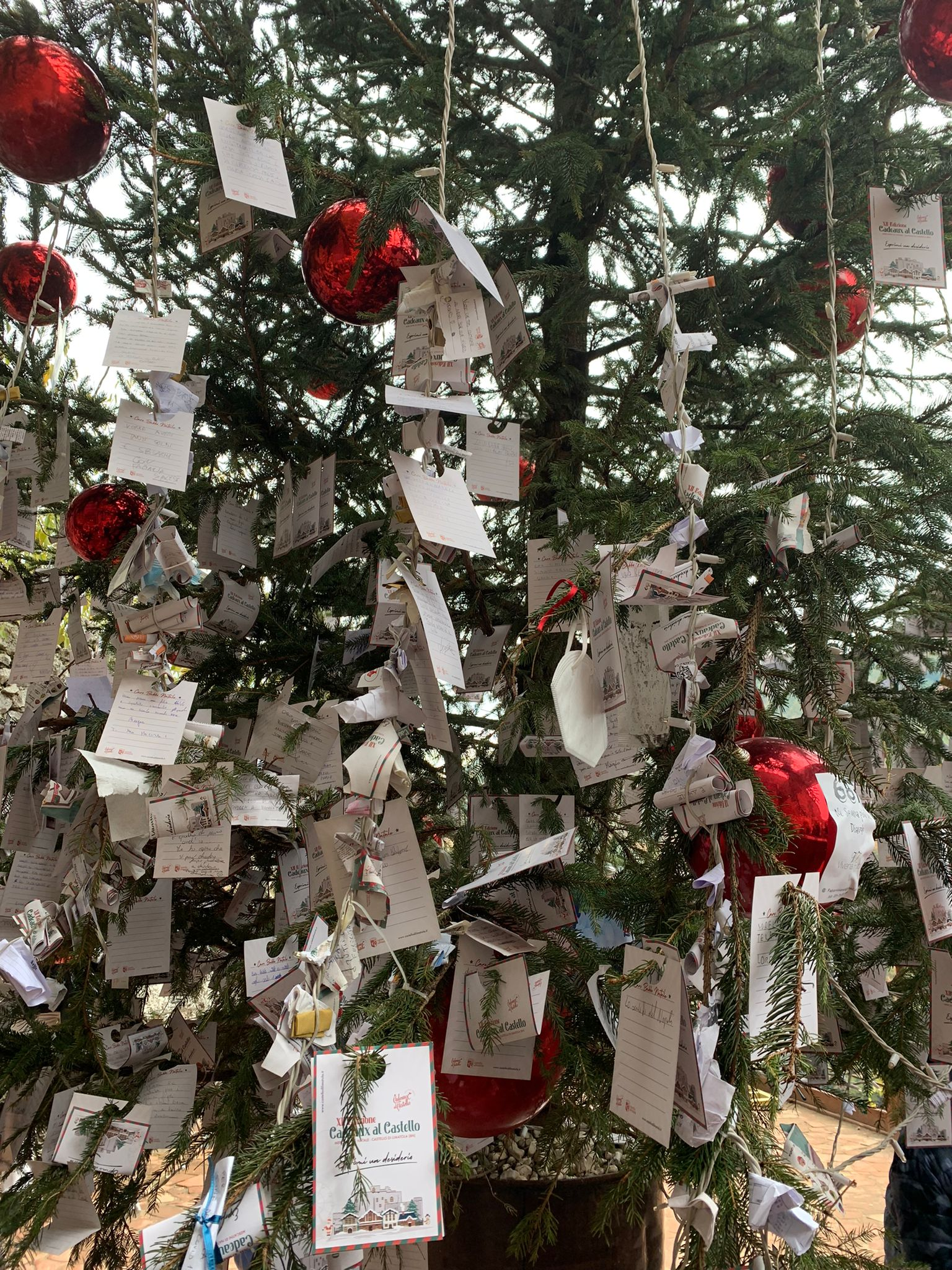 albero dei desideri