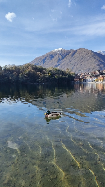 Lago di Mergozzo
