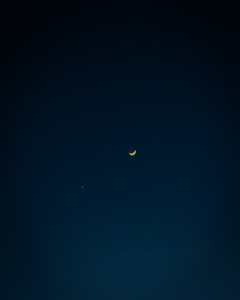 Moonlight
