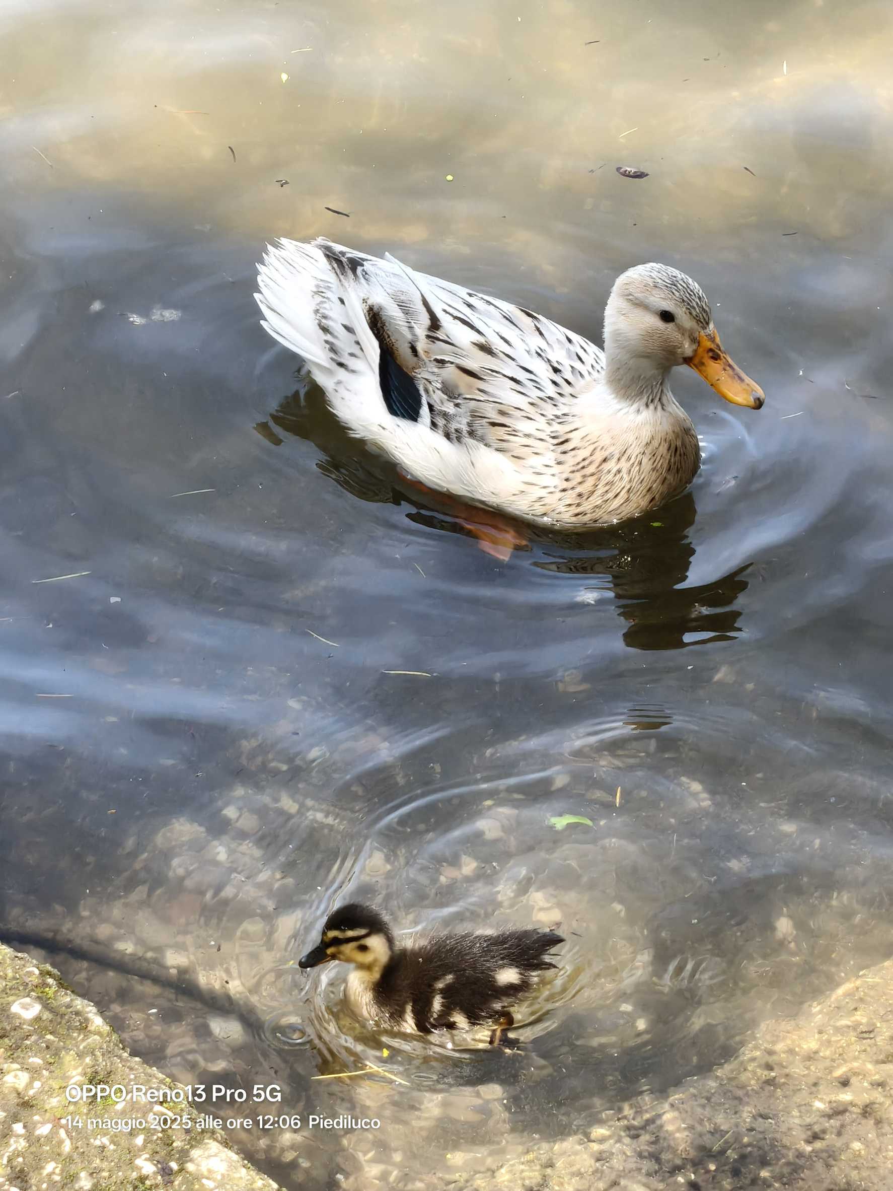 Mamma con piccolina