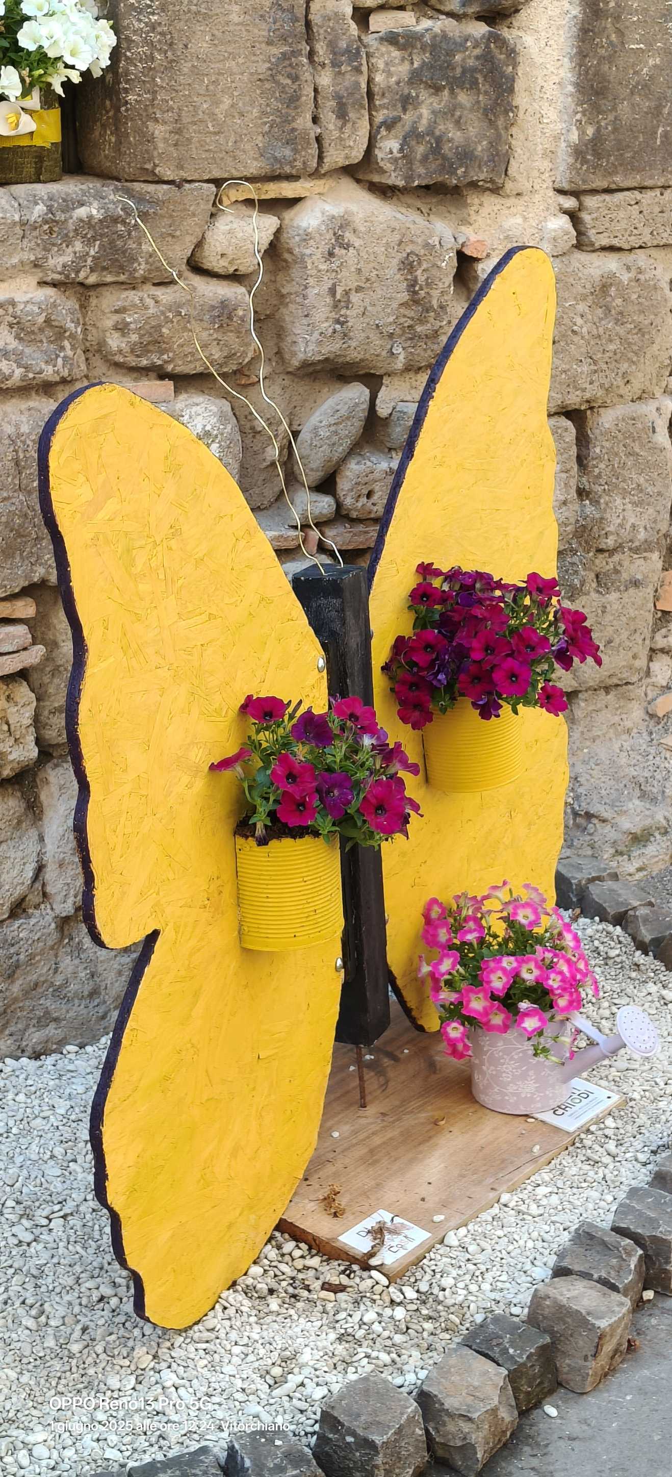 Farfalla 🦋