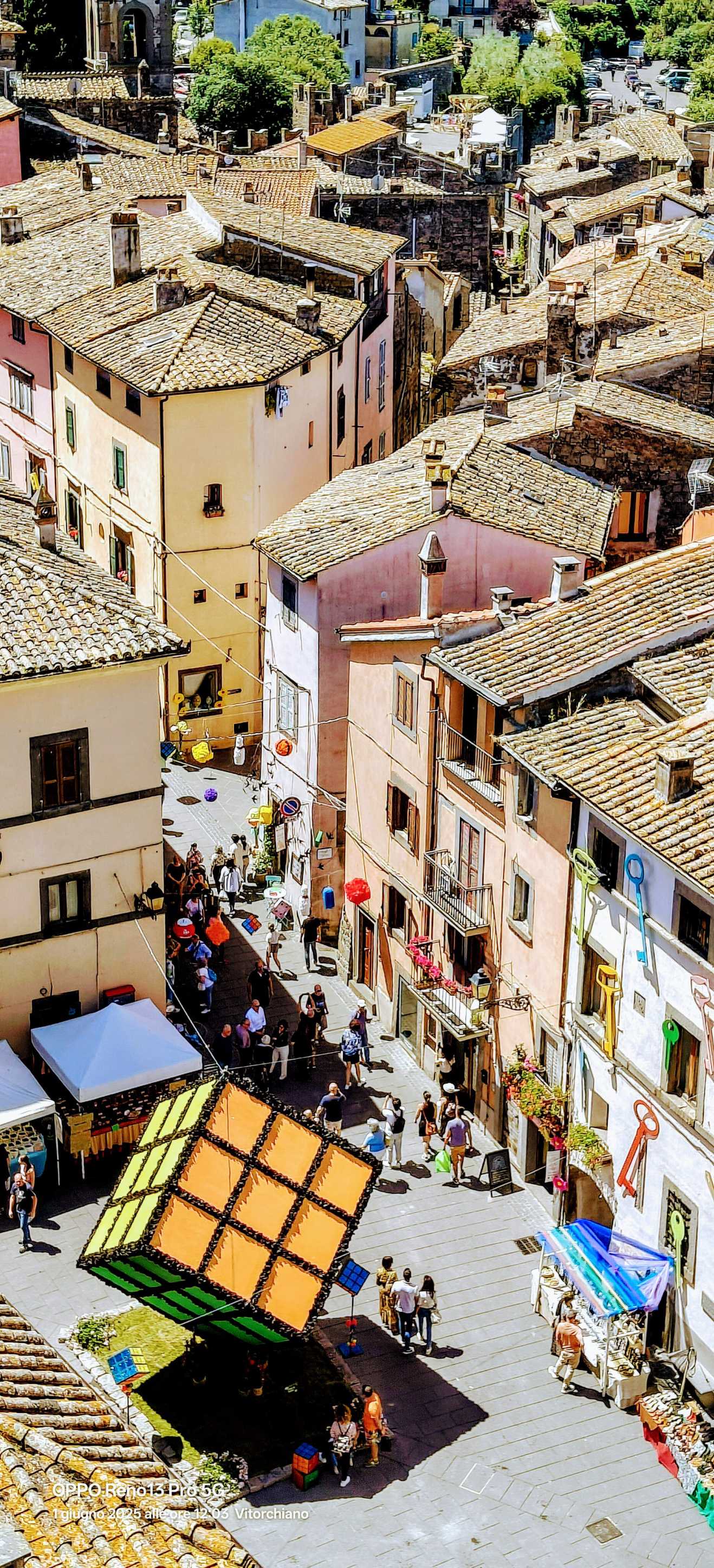 Peperino in fiore dall'alto