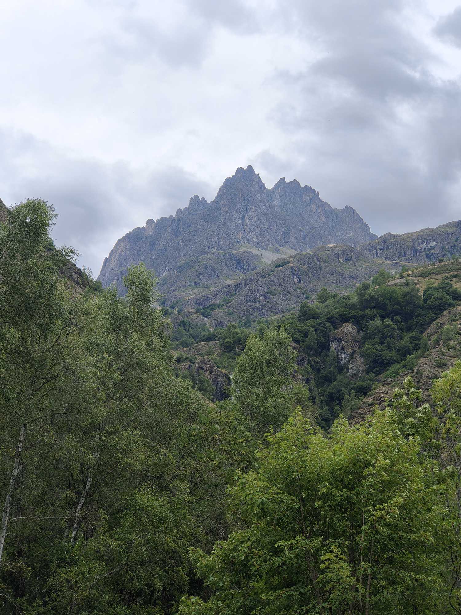 Alpi