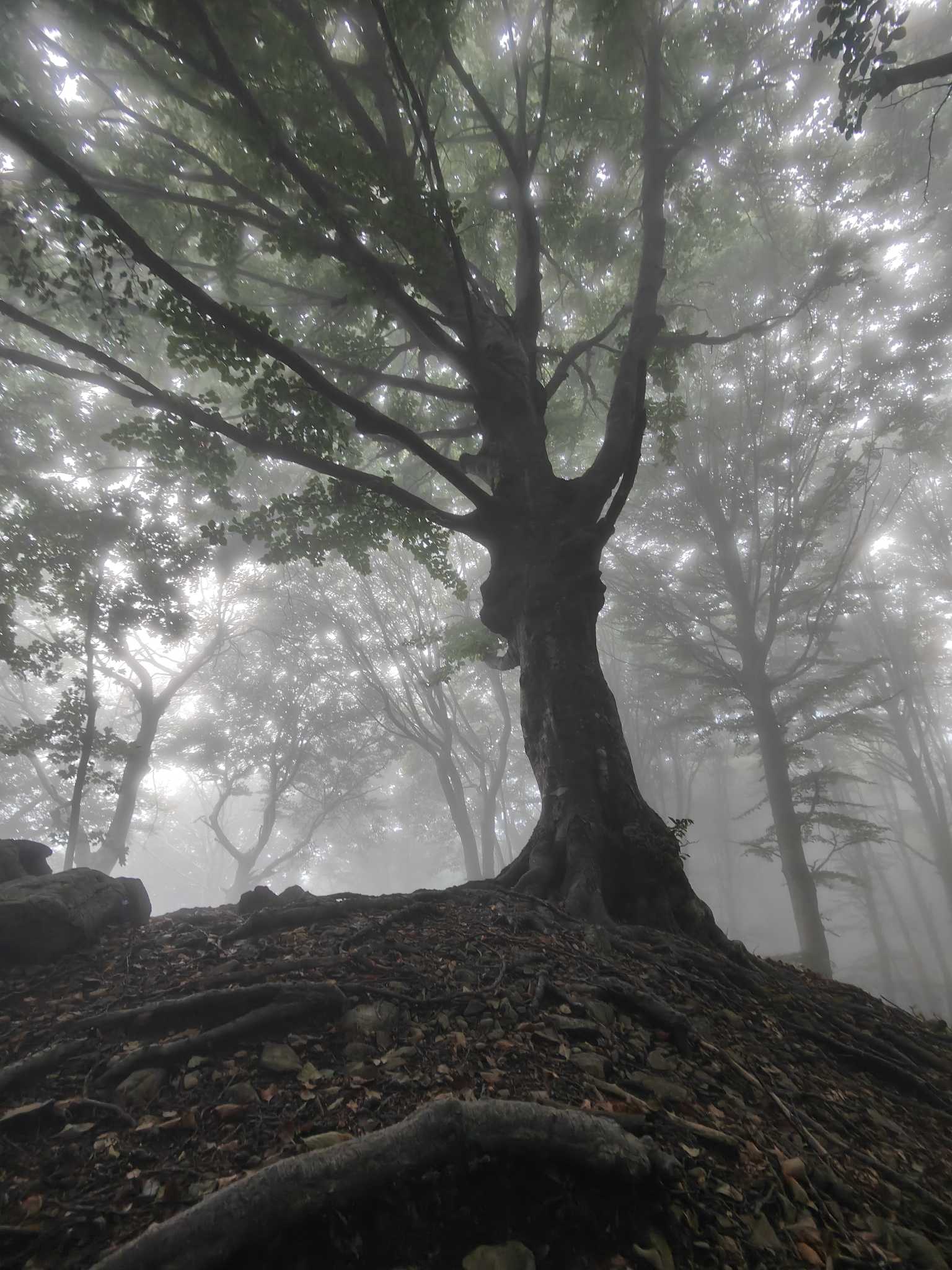 Sotto la pioggia