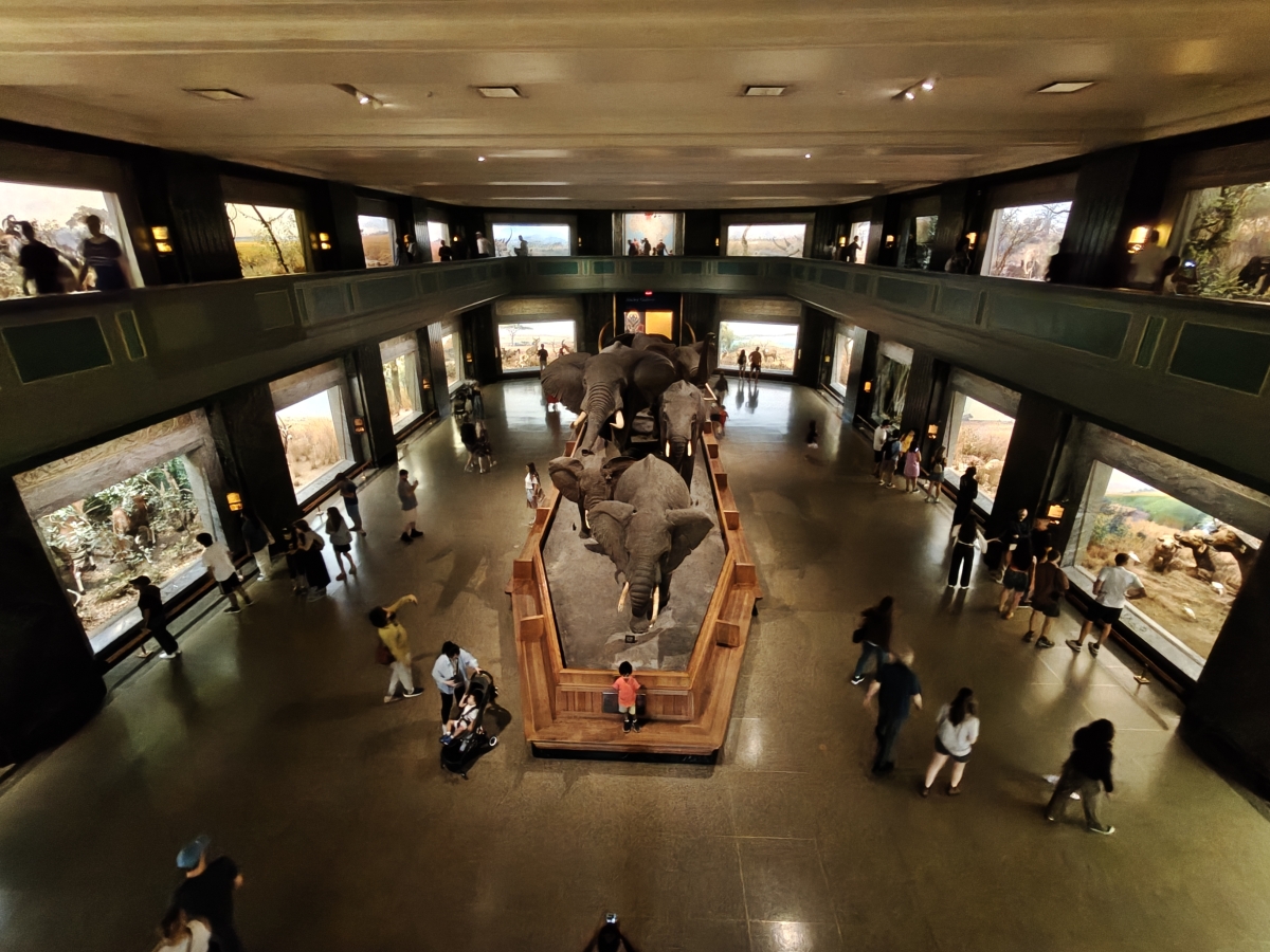 Al Museo di Storia Naturale