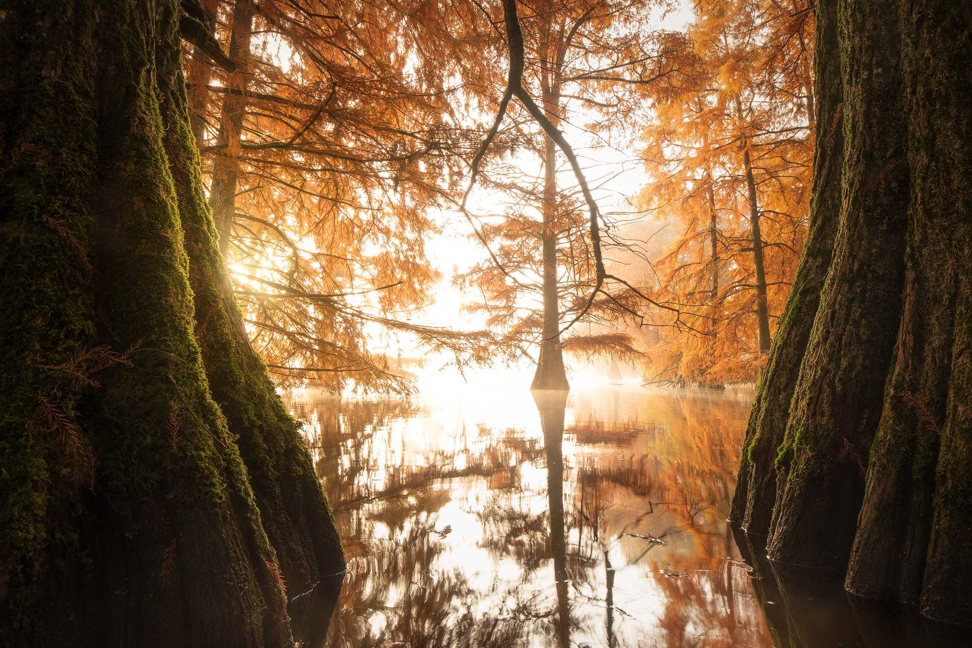 Autunno
