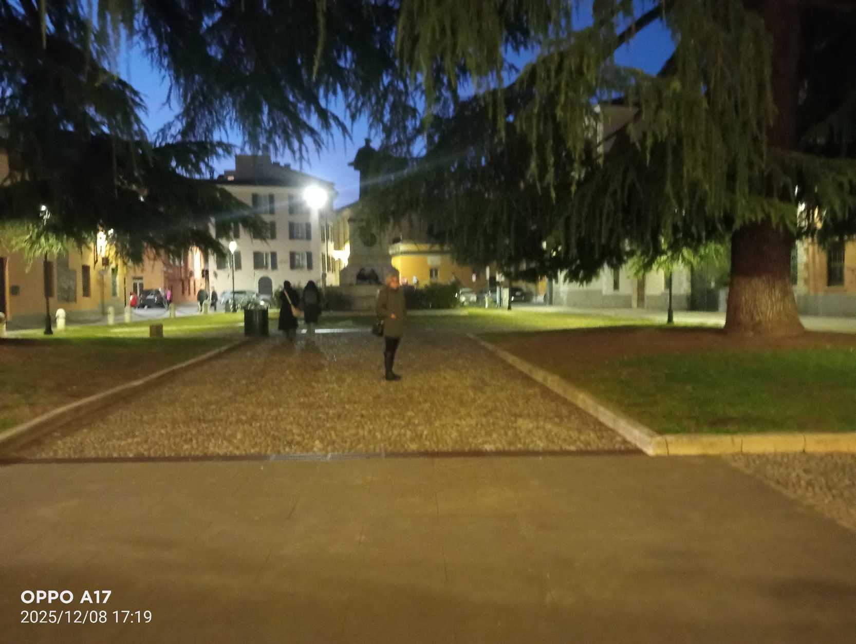 riflessioni invernali