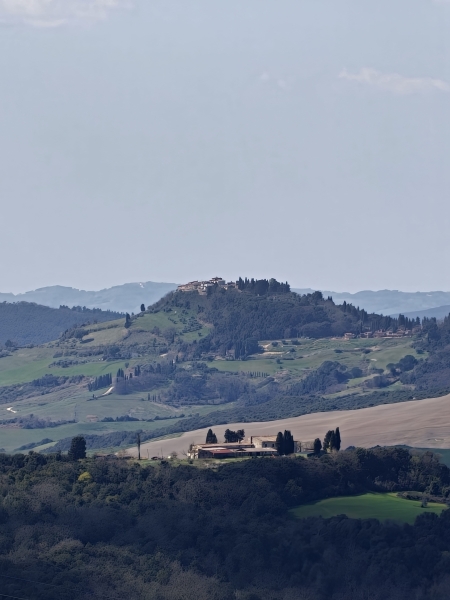 Volterra