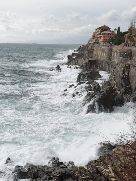 Genova