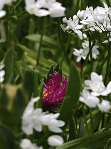 Sii la differenza...