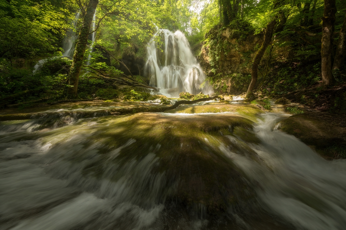 Acqua