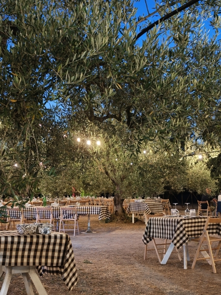 Cena tra gli ulivi ✨