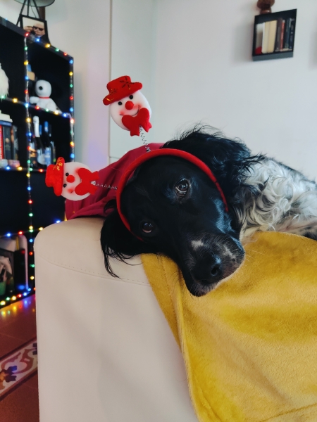 Manca poco al Natale 😂😂😂