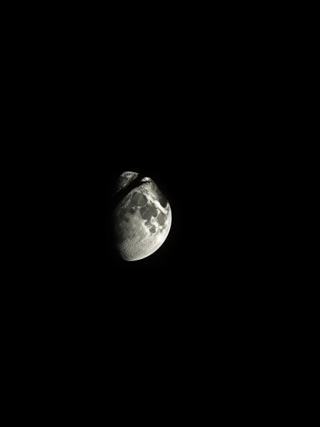 Luna  tra i rami