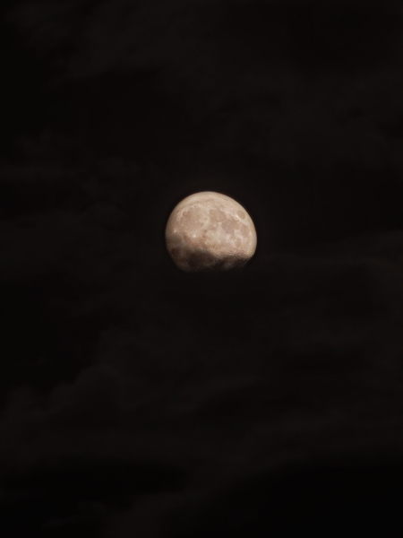 🌒