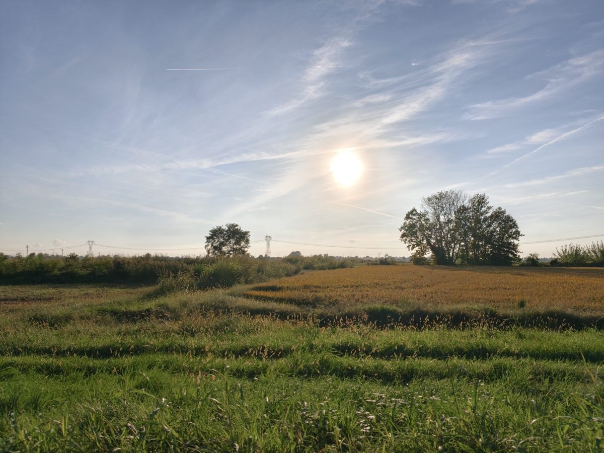 Campagne  lombarde