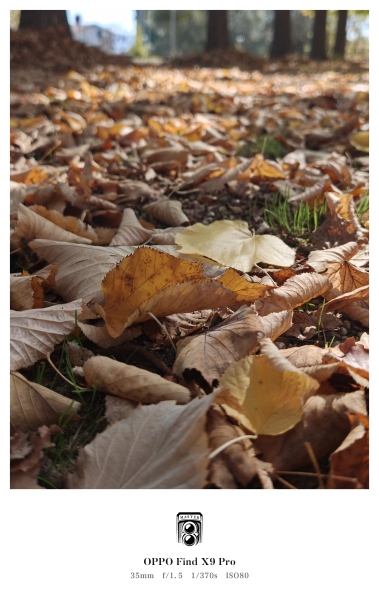 Foglie d'autunno ❤️