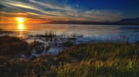 Tramonto su mare