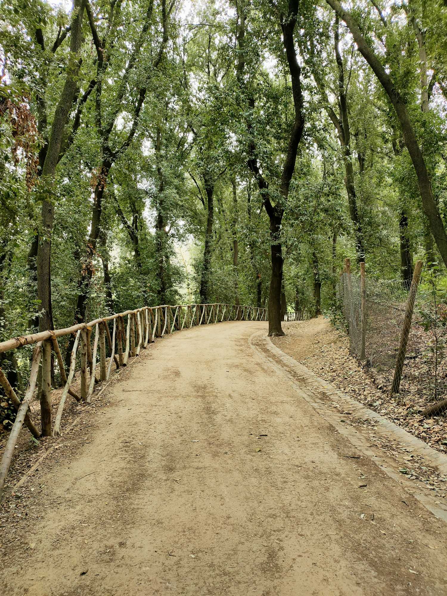 sentiero