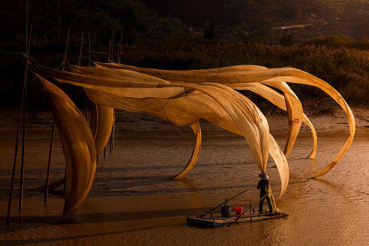 The Dragon Claw