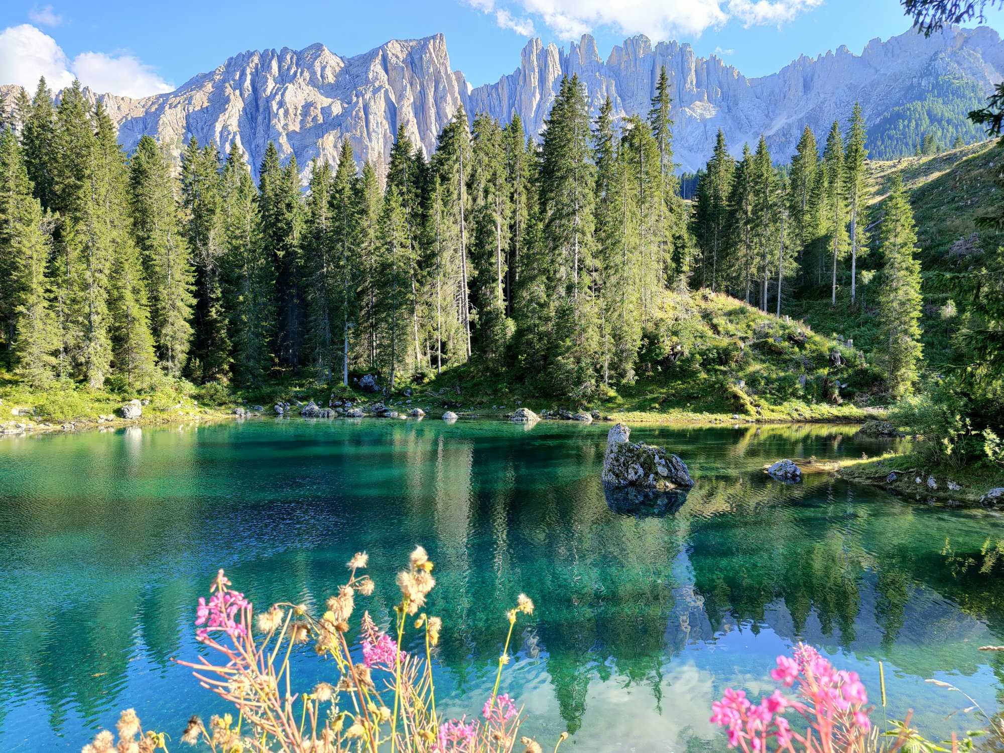 Come una Carezza