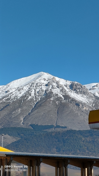 Neve