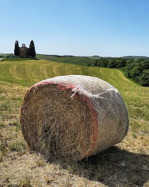 Val d'Orcia
San Quirico d'Orcia
Chiesa Madonna di Vitaleta.
25/5/2021
Giuseppe Annecchiarico