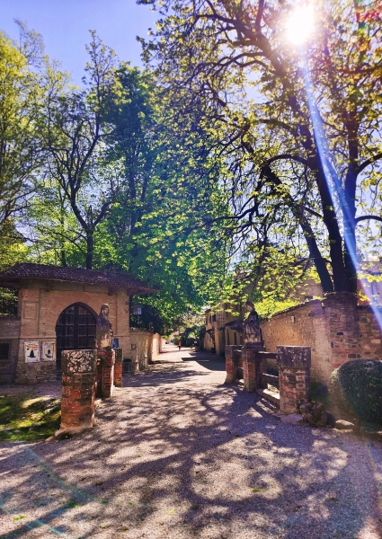 Esprimi un desiderio