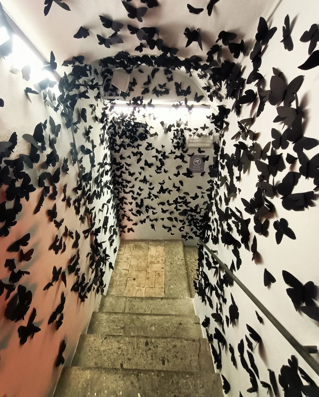 Roma.
Mostra CRAZY.
Chiostro del Bramante.
28/3/2022
Giuseppe Annecchiarico