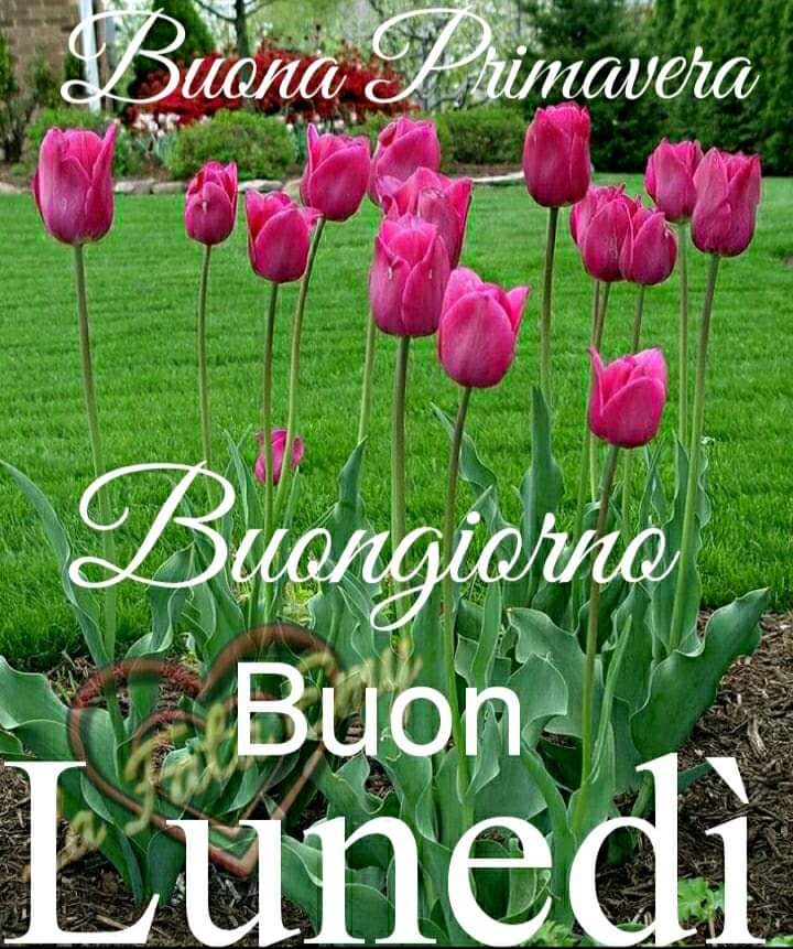 Giuseppe Flaminio
